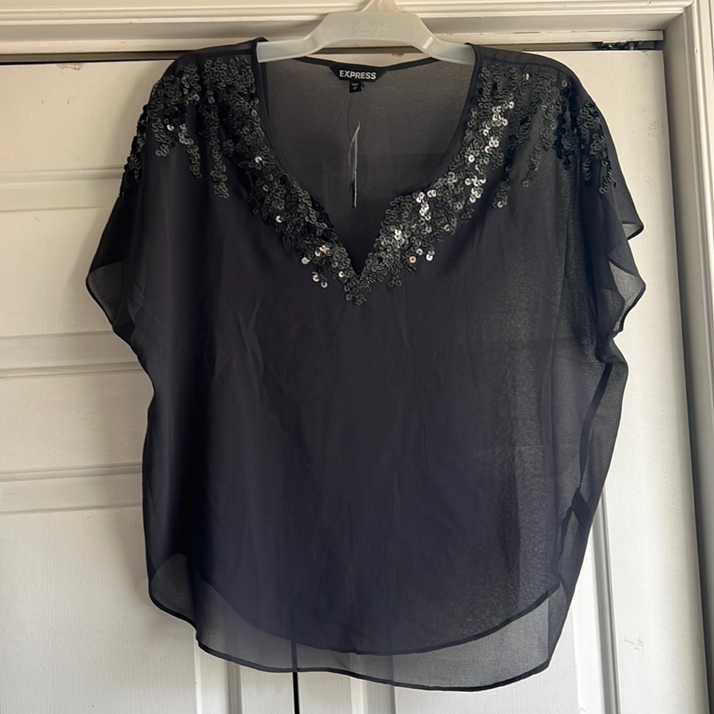NWT express sequin embellished sheer top